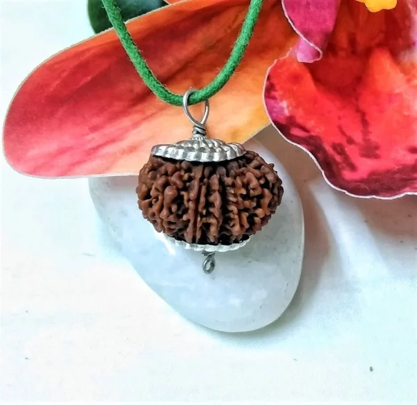 15 Mukhi Rudraksha