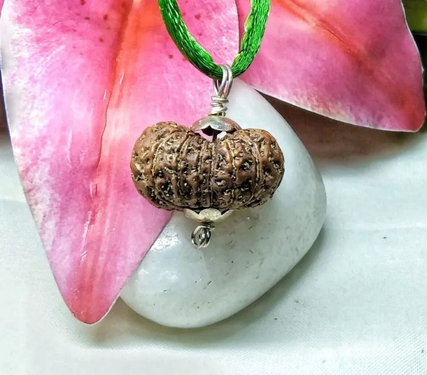 15 Mukhi Rudraksha