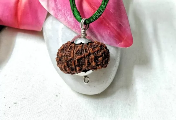 15 Mukhi Rudraksha