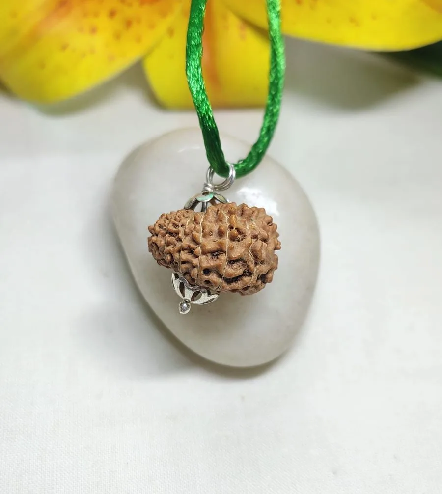 15 Mukhi Rudraksha