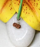 15 Mukhi Rudraksha