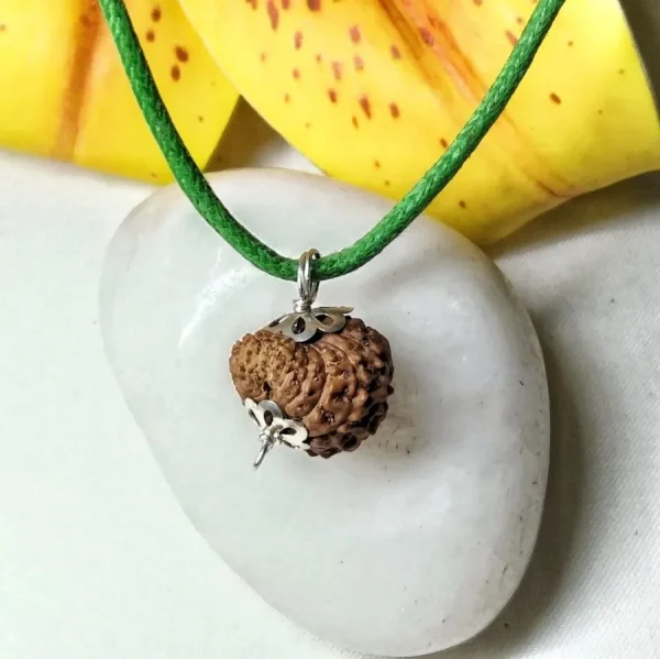 15 Mukhi Rudraksha