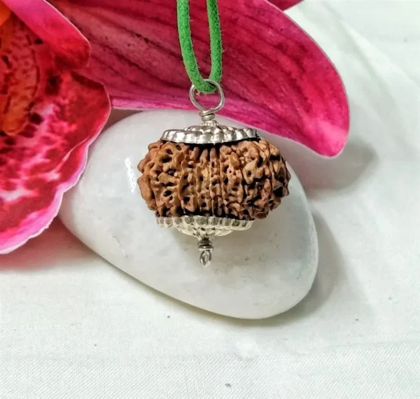 15 Mukhi Rudraksha