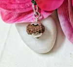 15 Mukhi Rudraksha