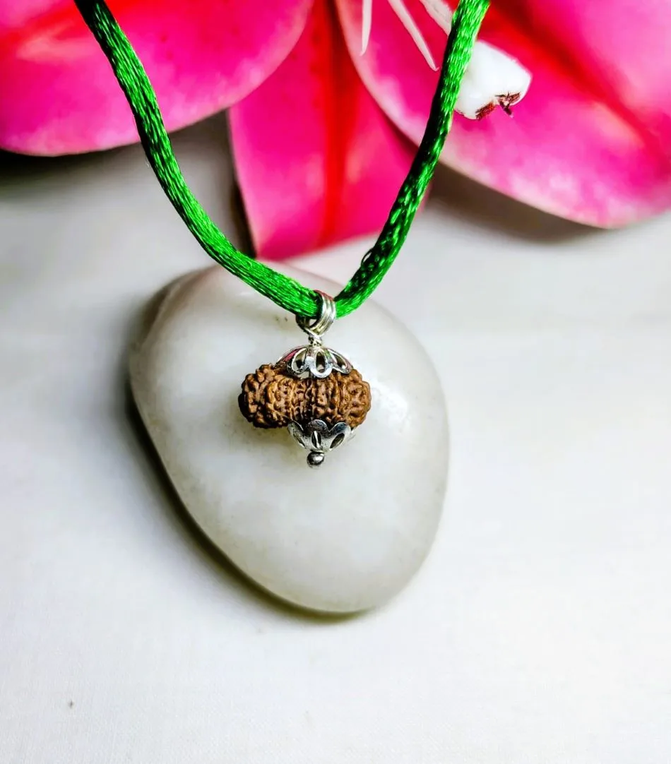 15 Mukhi Rudraksha