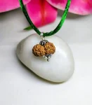15 Mukhi Rudraksha