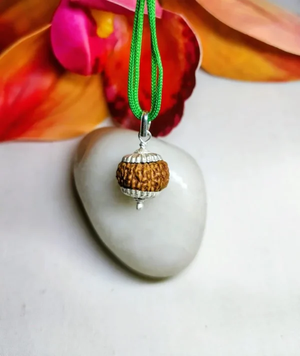 15 Mukhi Rudraksha