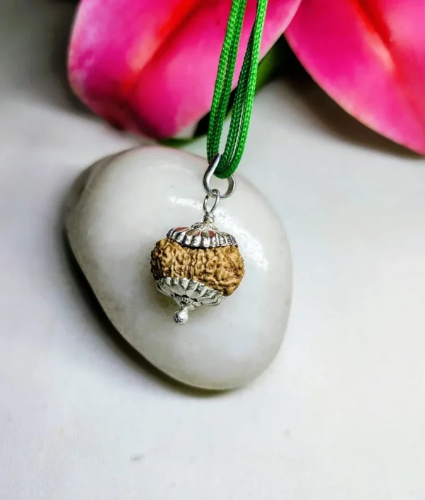 15 Mukhi Rudraksha