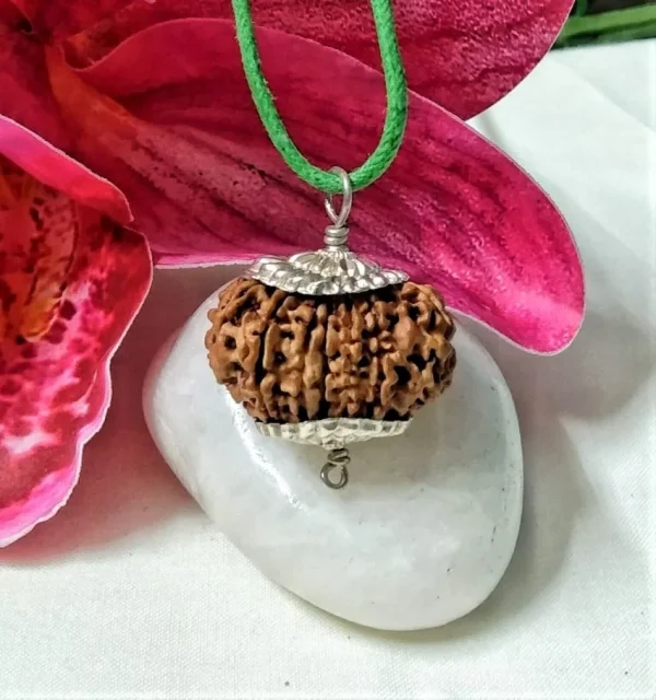 15 Mukhi Rudraksha