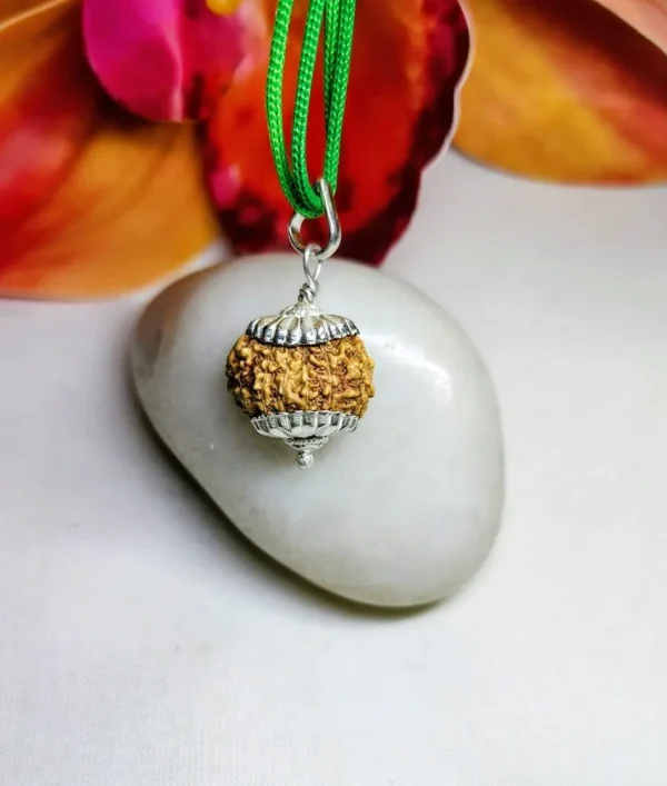 15 Mukhi Rudraksha