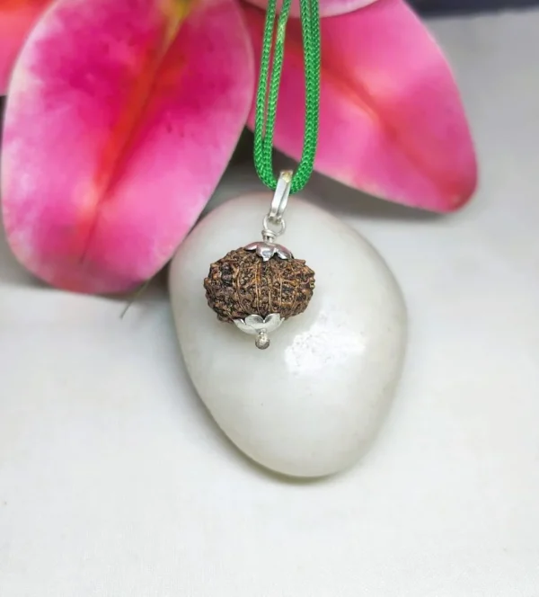 15 Mukhi Rudraksha