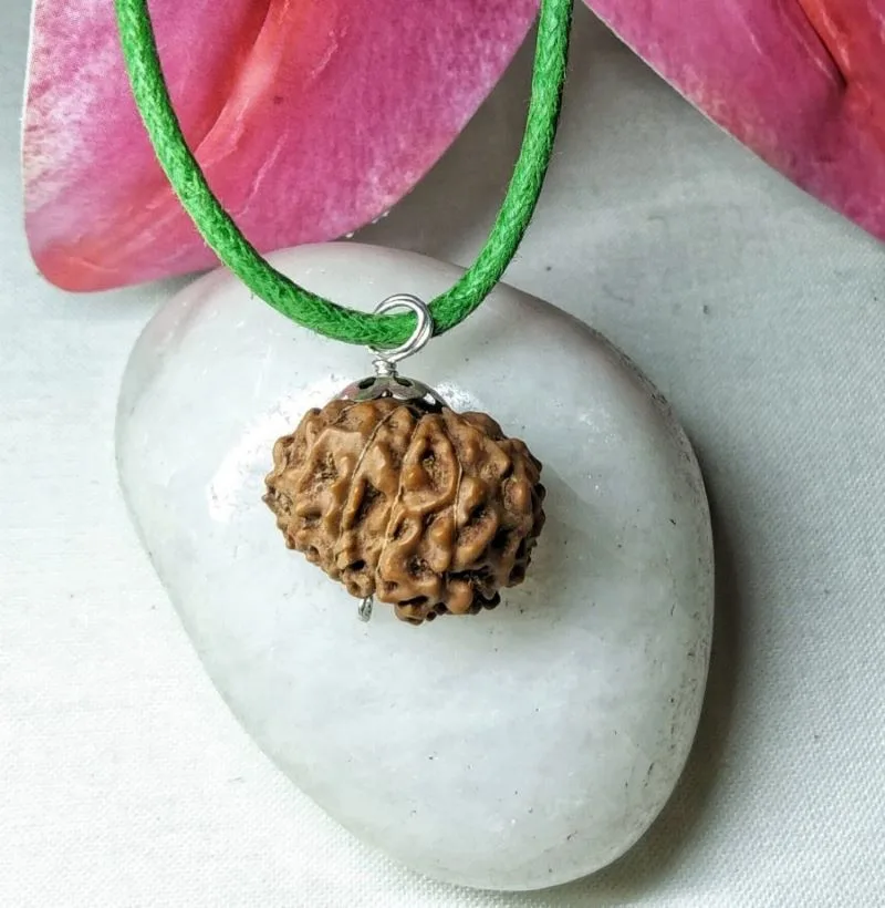 15 Mukhi Rudraksha