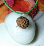 15 Mukhi Rudraksha