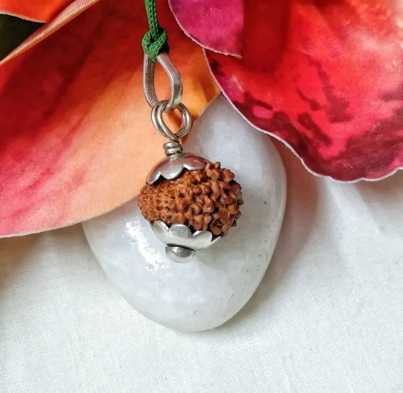 15 Mukhi Rudraksha
