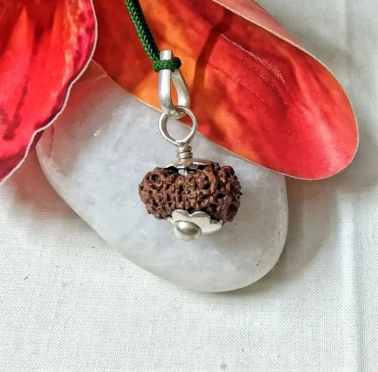 15 Mukhi Rudraksha