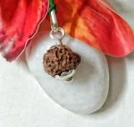 15 Mukhi Rudraksha