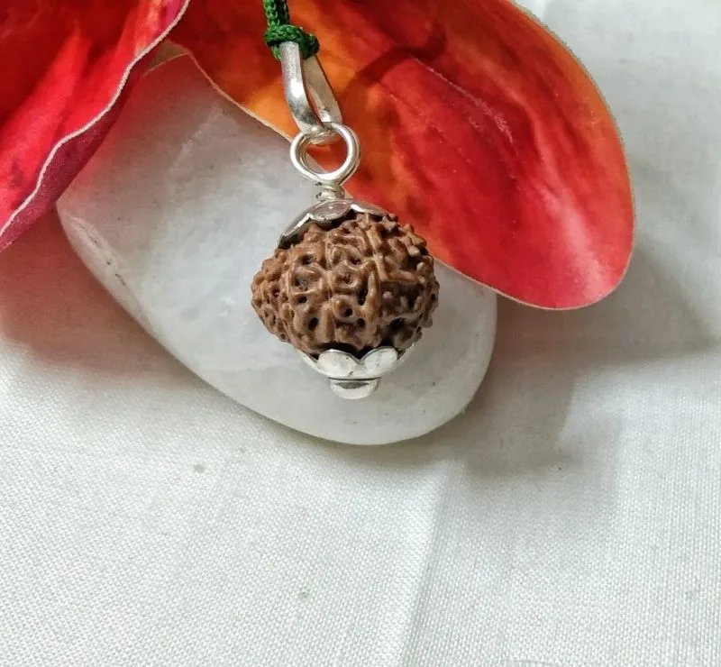 15 Mukhi Rudraksha