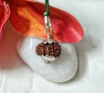 15 Mukhi Rudraksha