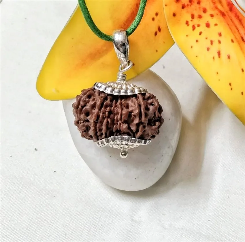 15 Mukhi Rudraksha