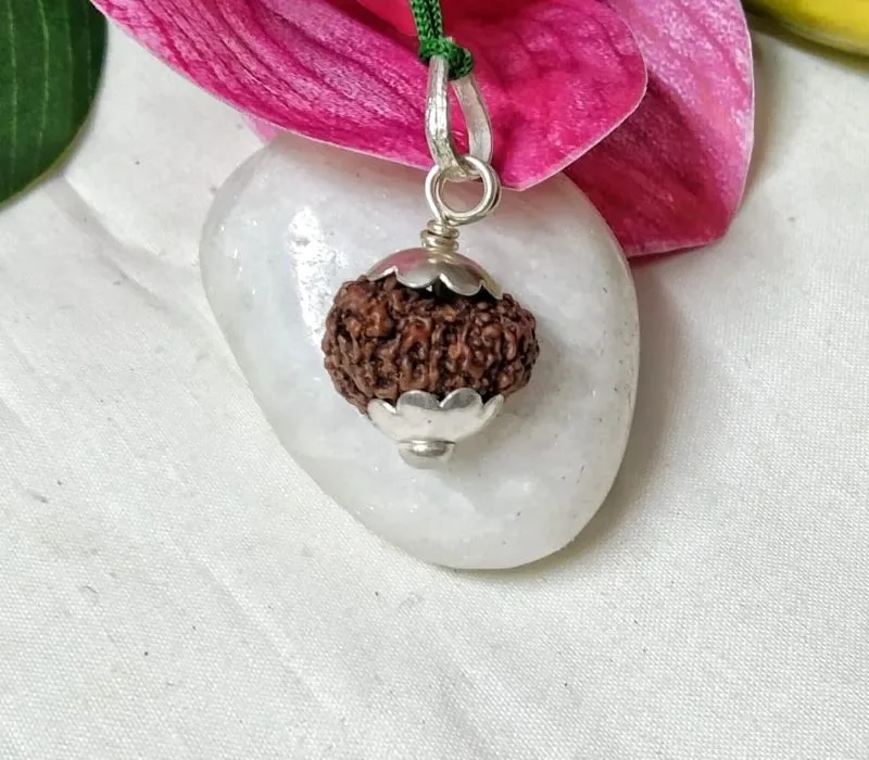 15 Mukhi Rudraksha