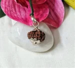 15 Mukhi Rudraksha