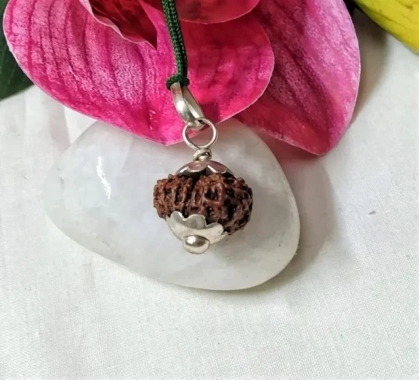 15 Mukhi Rudraksha