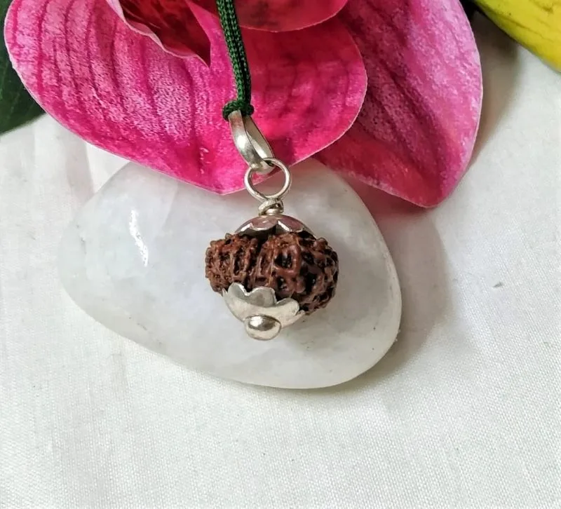 15 Mukhi Rudraksha
