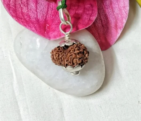 15 Mukhi Rudraksha