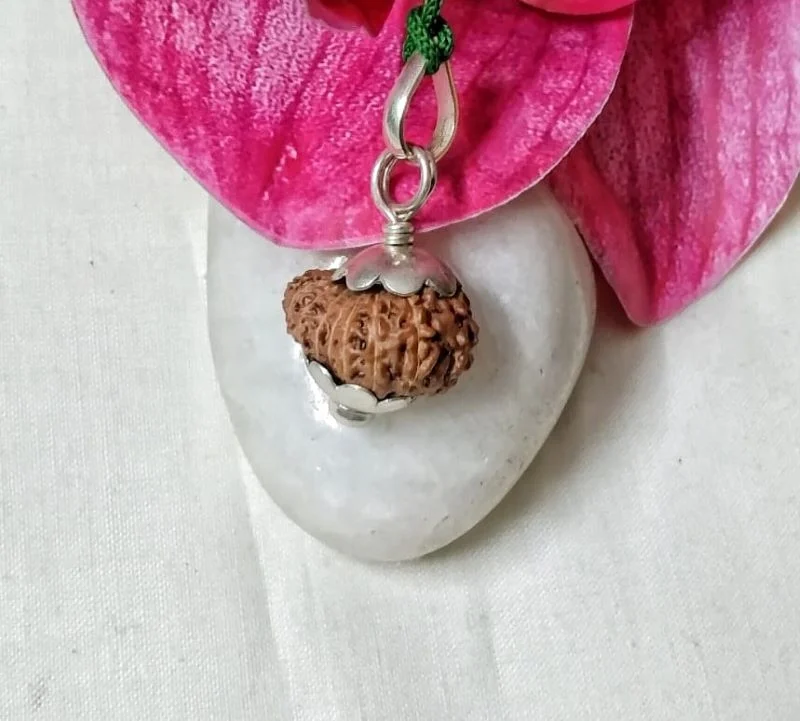15 Mukhi Rudraksha