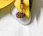 15 Mukhi Rudraksha