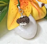15 Mukhi Rudraksha
