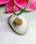 15 Mukhi Rudraksha