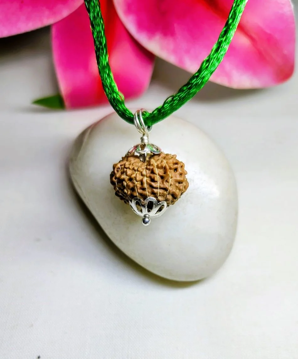 15 Mukhi Rudraksha