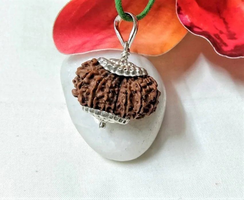 15 Mukhi Rudraksha