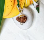 15 Mukhi Rudraksha