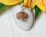 15 Mukhi Rudraksha