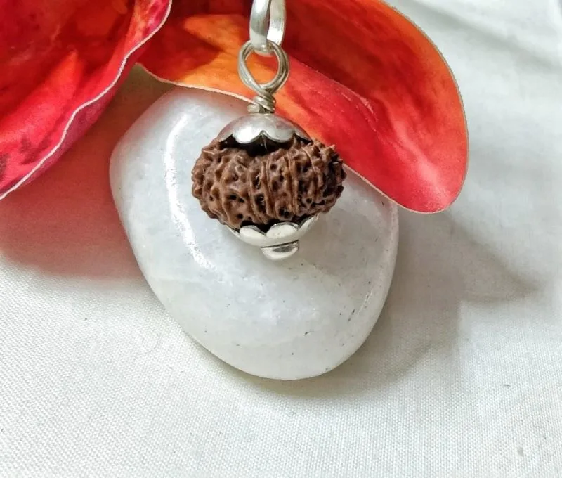 15 Mukhi Rudraksha