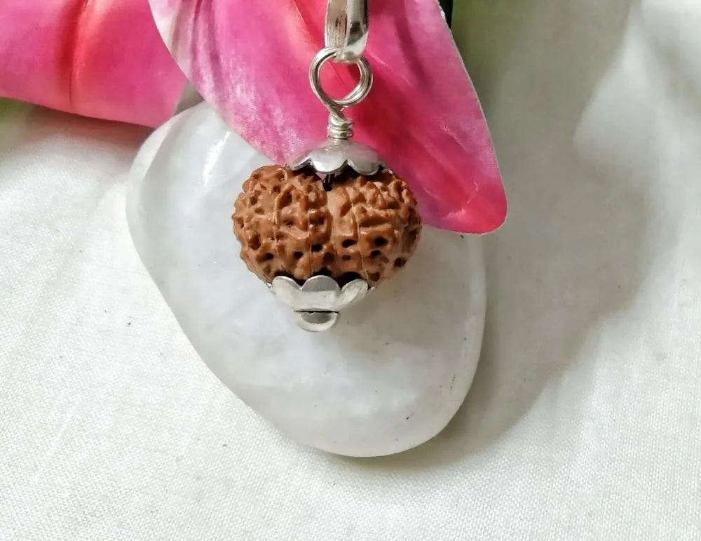 15 Mukhi Rudraksha