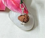 15 Mukhi Rudraksha