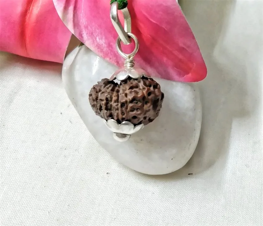 15 Mukhi Rudraksha