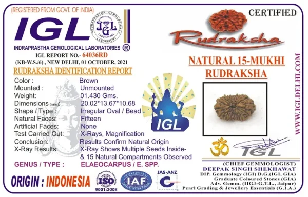 15 Mukhi Certificate