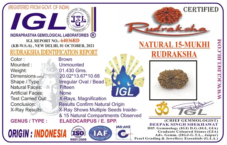 15 Mukhi Certificate
