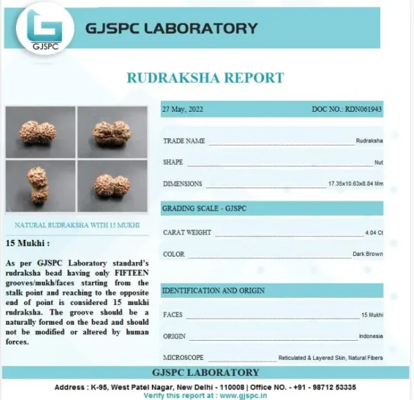 15 Mukhi Certificate