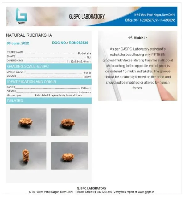 15 Mukhi Certificate