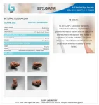 15 Mukhi Certificate