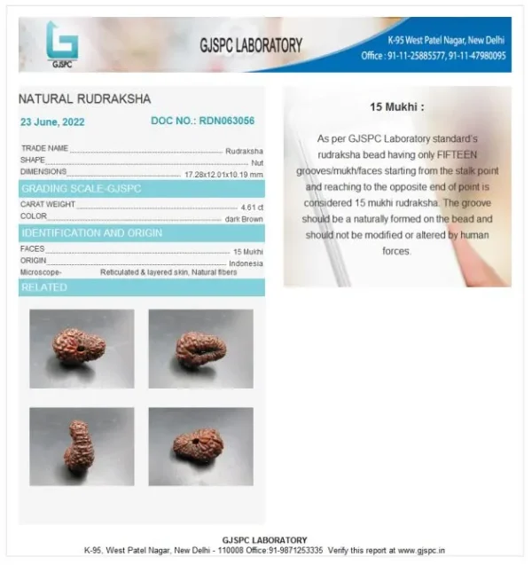 15 Mukhi Certificate