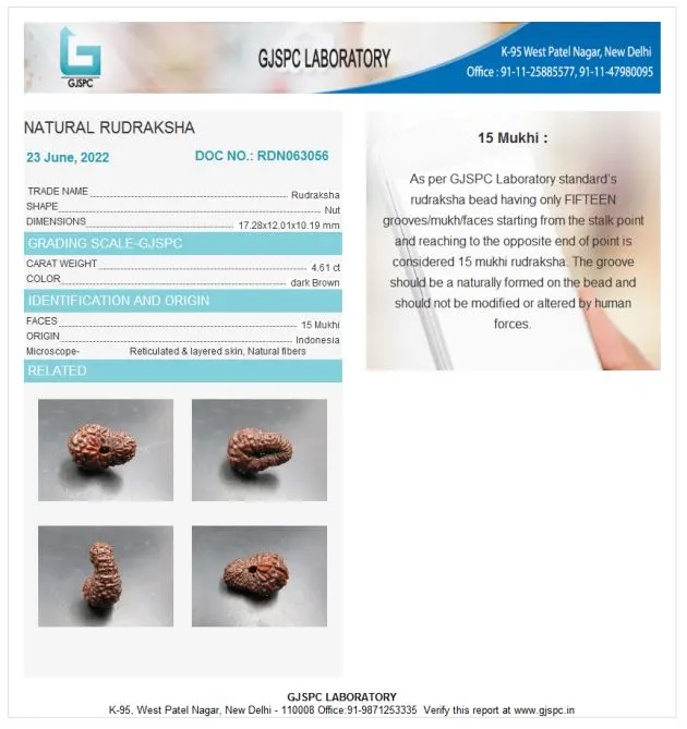 15 Mukhi Certificate