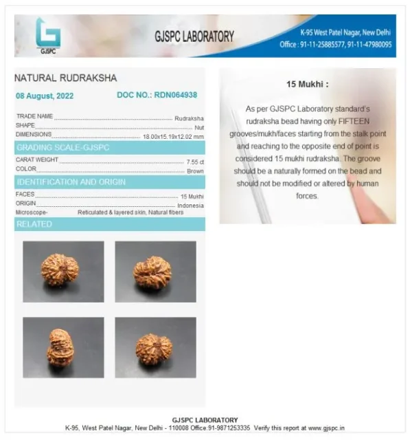 15 Mukhi Certificate