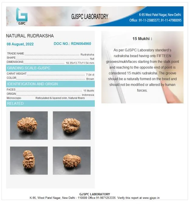 15 Mukhi Certificate