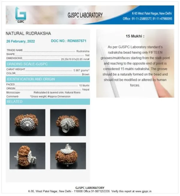 15 Mukhi Certificate